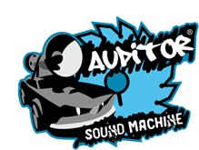 Auditor